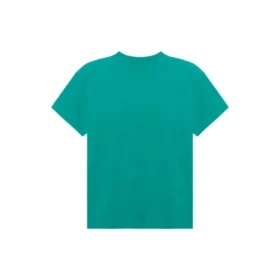 Camisola de manga curta, estilo retro, com logótipo impresso na banda, verde 612965TIV473640