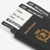 Porta-telemóvel para passaporte masculino em preto